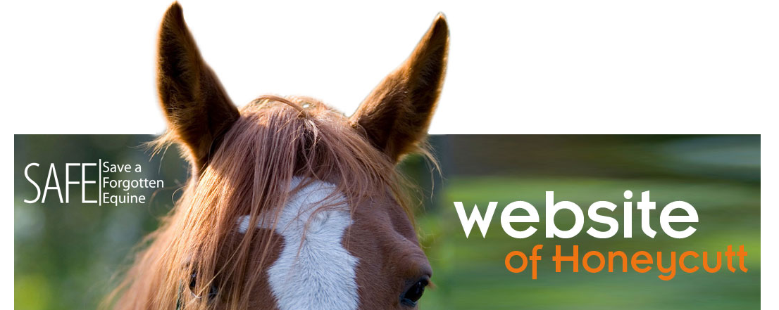 honeycutt_header honeycutt.safehorses.org
