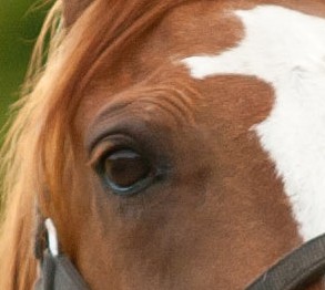 It’s better once they are gone