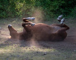 Sometimes it’s best to stay out of the way