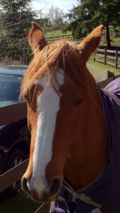 I’m Asking for Help