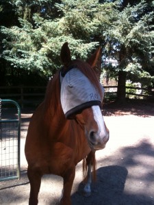 Do you want your hat?