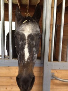 I am the contest winner