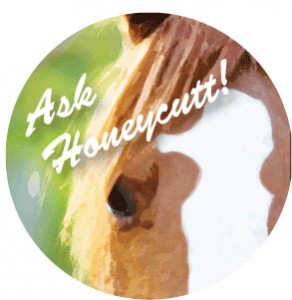 Ask Honeycutt