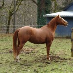 Pictures are for remembering