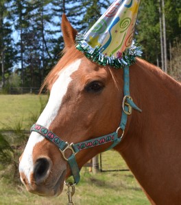 Everyone has Birthday